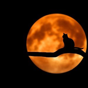 Meet your Posher, Rita